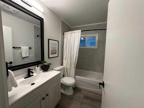 21 Healy Drive Sw, Calgary, AB - Indoor Photo Showing Bathroom