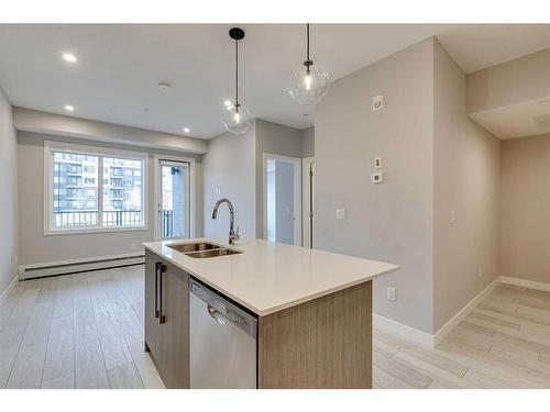 1118-395 Skyview Parkway Ne, Calgary, AB - Indoor Photo Showing Kitchen With Double Sink With Upgraded Kitchen