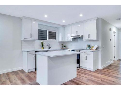 8332 Centre Street Ne, Calgary, AB - Indoor Photo Showing Kitchen With Upgraded Kitchen