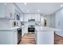 8332 Centre Street Ne, Calgary, AB  - Indoor Photo Showing Kitchen With Upgraded Kitchen 