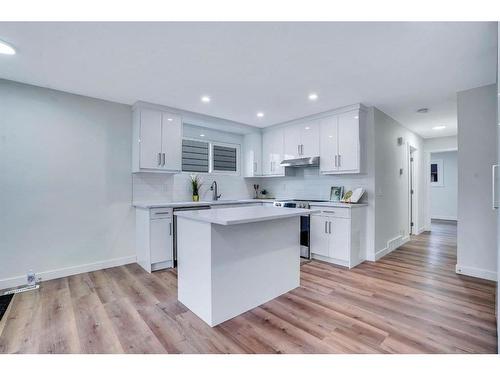 8332 Centre Street Ne, Calgary, AB - Indoor Photo Showing Kitchen With Upgraded Kitchen