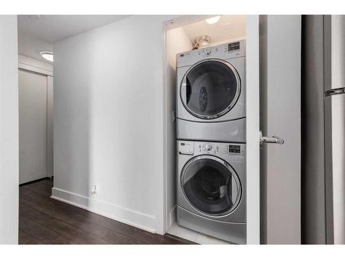 224-619 Confluence Way Se, Calgary, AB - Indoor Photo Showing Laundry Room