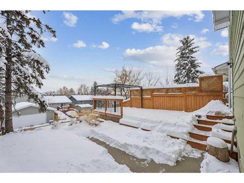 115 Pineson Place Ne, Calgary, AB - Outdoor