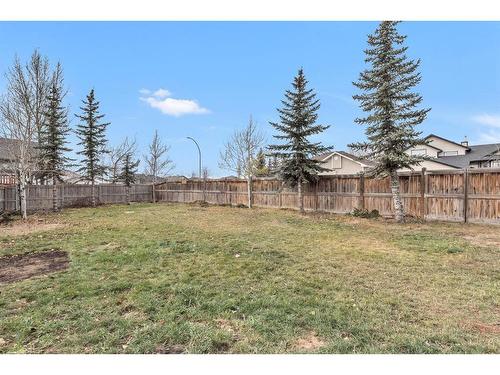 160 Aspen Mews, Strathmore, AB - Outdoor With Backyard