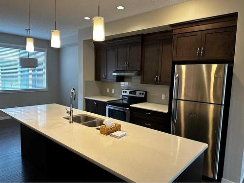 106 Panatella Walk Nw, Calgary, AB - Indoor Photo Showing Kitchen With Stainless Steel Kitchen With Double Sink With Upgraded Kitchen