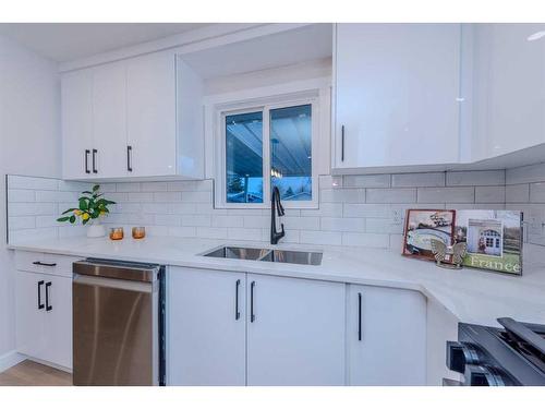 10616 Mapleglen Crescent Se, Calgary, AB - Indoor Photo Showing Kitchen With Double Sink