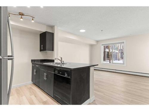 116-355 Taralake Way Ne, Calgary, AB - Indoor Photo Showing Kitchen With Double Sink