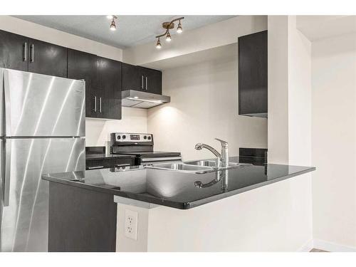 116-355 Taralake Way Ne, Calgary, AB - Indoor Photo Showing Kitchen With Double Sink With Upgraded Kitchen