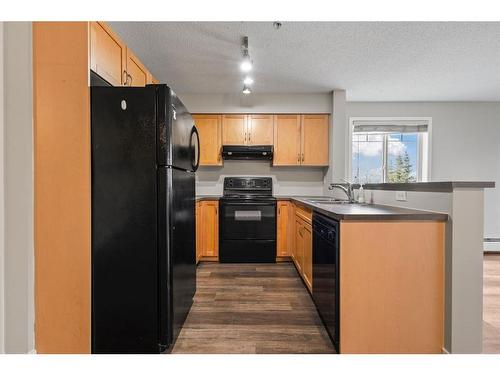 2207-70 Panamount Dr Nw, Calgary, AB - Indoor Photo Showing Kitchen With Double Sink