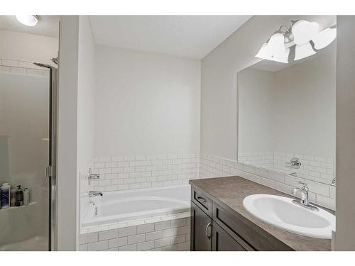 170 Brightonwoods Grove Se, Calgary, AB - Indoor Photo Showing Bathroom