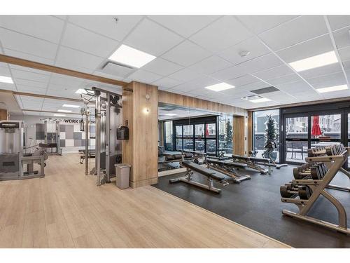 111 Les Jardins Park Se, Calgary, AB - Indoor Photo Showing Gym Room