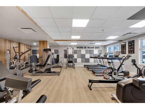 111 Les Jardins Park Se, Calgary, AB - Indoor Photo Showing Gym Room