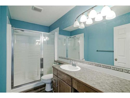 6113 Saddlehorn Drive Ne, Calgary, AB - Indoor Photo Showing Bathroom