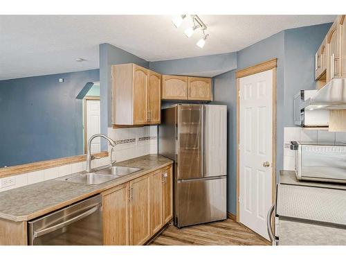 6113 Saddlehorn Drive Ne, Calgary, AB - Indoor Photo Showing Kitchen With Double Sink