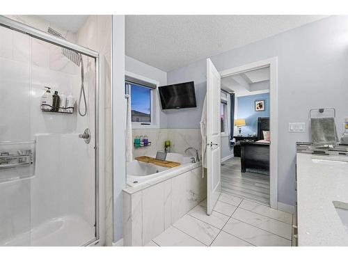 391 Bayview Way Sw, Airdrie, AB - Indoor Photo Showing Bathroom