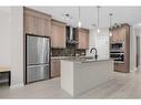 48 Howse Heights Ne, Calgary, AB  - Indoor Photo Showing Kitchen With Stainless Steel Kitchen With Upgraded Kitchen 