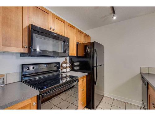 203-2440 34 Avenue Sw, Calgary, AB - Indoor Photo Showing Kitchen