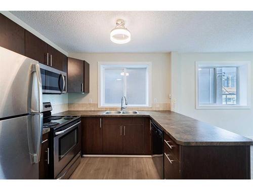 102-1810 16 Street Sw, Calgary, AB - Indoor Photo Showing Kitchen With Double Sink