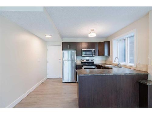 102-1810 16 Street Sw, Calgary, AB - Indoor Photo Showing Kitchen With Double Sink