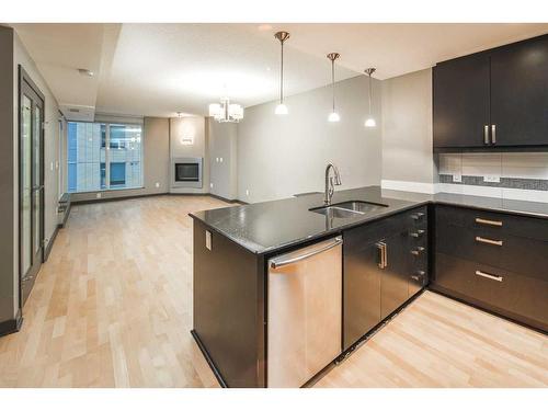 805-888 4 Avenue Sw, Calgary, AB - Indoor Photo Showing Kitchen With Double Sink