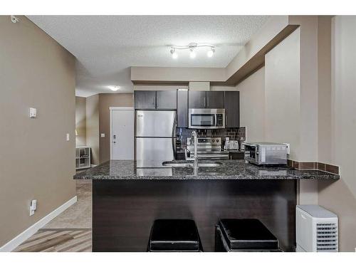 302-325 3 Street Se, Calgary, AB - Indoor Photo Showing Kitchen