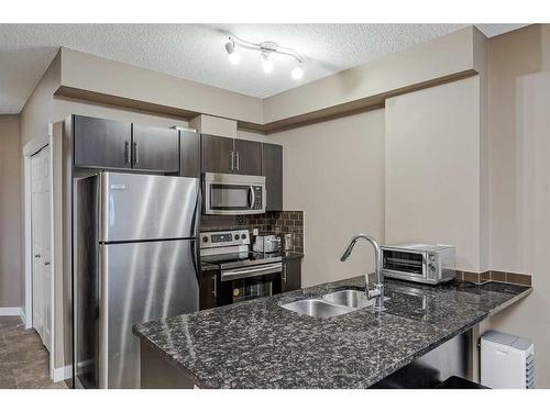 302-325 3 Street Se, Calgary, AB - Indoor Photo Showing Kitchen With Stainless Steel Kitchen With Double Sink