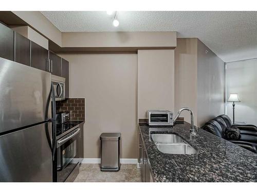 302-325 3 Street Se, Calgary, AB - Indoor Photo Showing Kitchen With Stainless Steel Kitchen With Double Sink