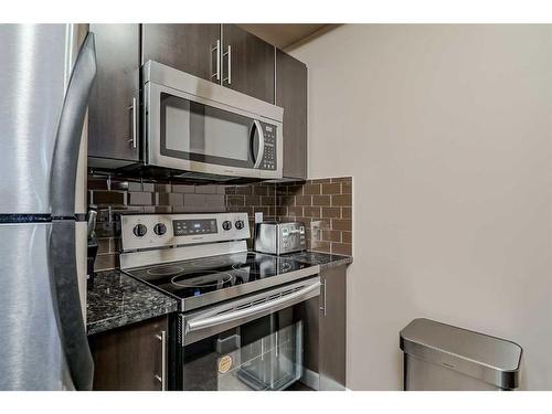 302-325 3 Street Se, Calgary, AB - Indoor Photo Showing Kitchen