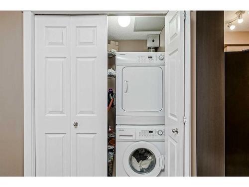 302-325 3 Street Se, Calgary, AB - Indoor Photo Showing Laundry Room