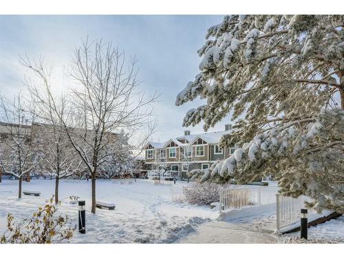 224 Cranberry Park Se, Calgary, AB - Outdoor