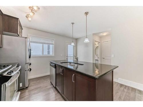 257 Copperpond Landing Se, Calgary, AB - Indoor Photo Showing Kitchen With Double Sink With Upgraded Kitchen