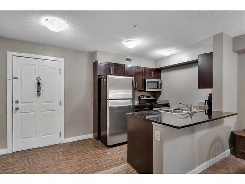 303-7130 80 Avenue Ne, Calgary, AB - Indoor Photo Showing Kitchen With Stainless Steel Kitchen With Double Sink