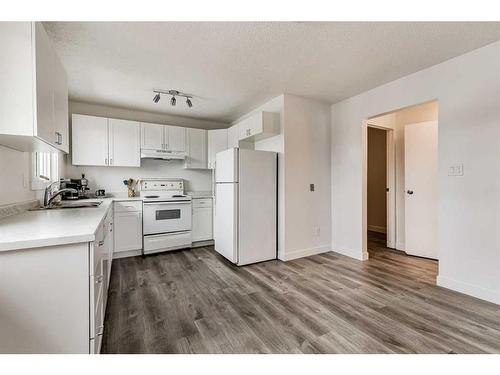 804 44 Street Se, Calgary, AB - Indoor Photo Showing Kitchen With Double Sink