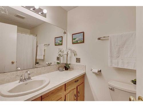 20 Riverbrook Place Se, Calgary, AB - Indoor Photo Showing Bathroom