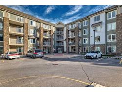 1303-6118 80 Avenue NE Calgary, AB T3J 0S6