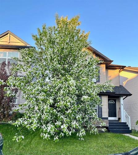 14 Silverado Saddle Heights Sw, Calgary, AB - Outdoor