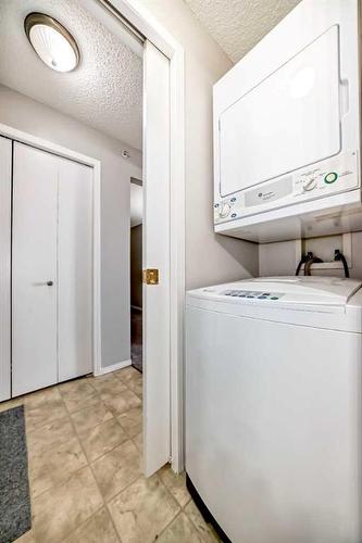 419-1717 60 Street Se, Calgary, AB - Indoor Photo Showing Laundry Room