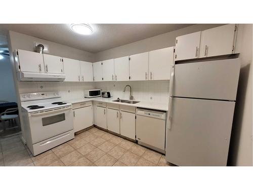 501-1335 12 Avenue Sw, Calgary, AB - Indoor Photo Showing Kitchen With Double Sink