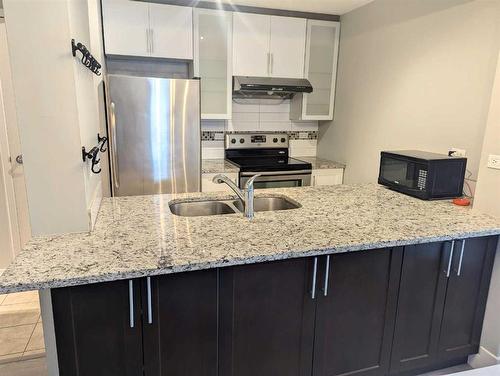 204-1414 12 Street Sw, Calgary, AB - Indoor Photo Showing Kitchen With Double Sink With Upgraded Kitchen