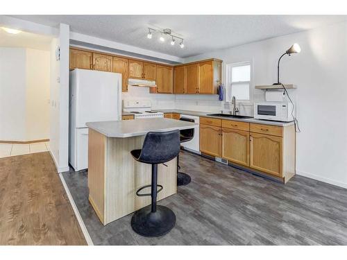 23 Saddleback Way Ne, Calgary, AB - Indoor Photo Showing Kitchen