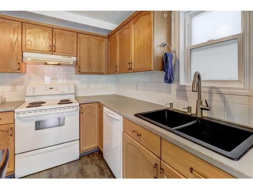 23 Saddleback Way Ne, Calgary, AB - Indoor Photo Showing Kitchen With Double Sink