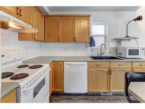 23 Saddleback Way Ne, Calgary, AB - Indoor Photo Showing Kitchen With Double Sink