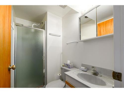 204 Doverthorn Close Se, Calgary, AB - Indoor Photo Showing Bathroom