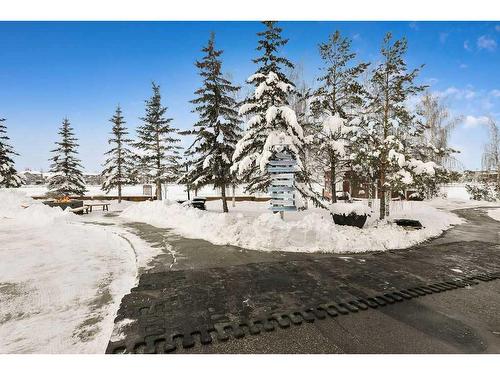 147 Auburn Bay Crescent Se, Calgary, AB - Outdoor With Body Of Water