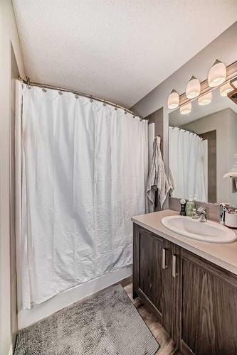 17 Belgian Lane, Cochrane, AB - Indoor Photo Showing Bathroom