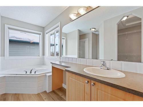 46 Chapman Close Se, Calgary, AB - Indoor Photo Showing Bathroom