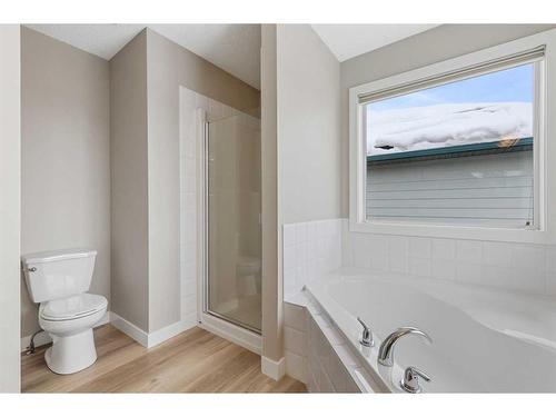 46 Chapman Close Se, Calgary, AB - Indoor Photo Showing Bathroom