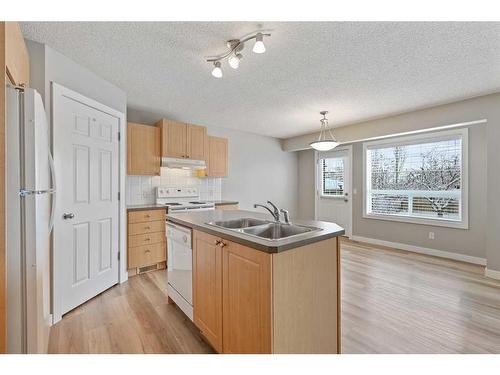 46 Chapman Close Se, Calgary, AB - Indoor Photo Showing Kitchen With Double Sink