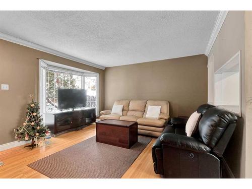 4627 Greenhill Crescent Ne, Calgary, AB - Indoor Photo Showing Living Room