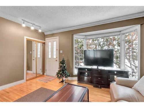 4627 Greenhill Crescent Ne, Calgary, AB - Indoor Photo Showing Living Room